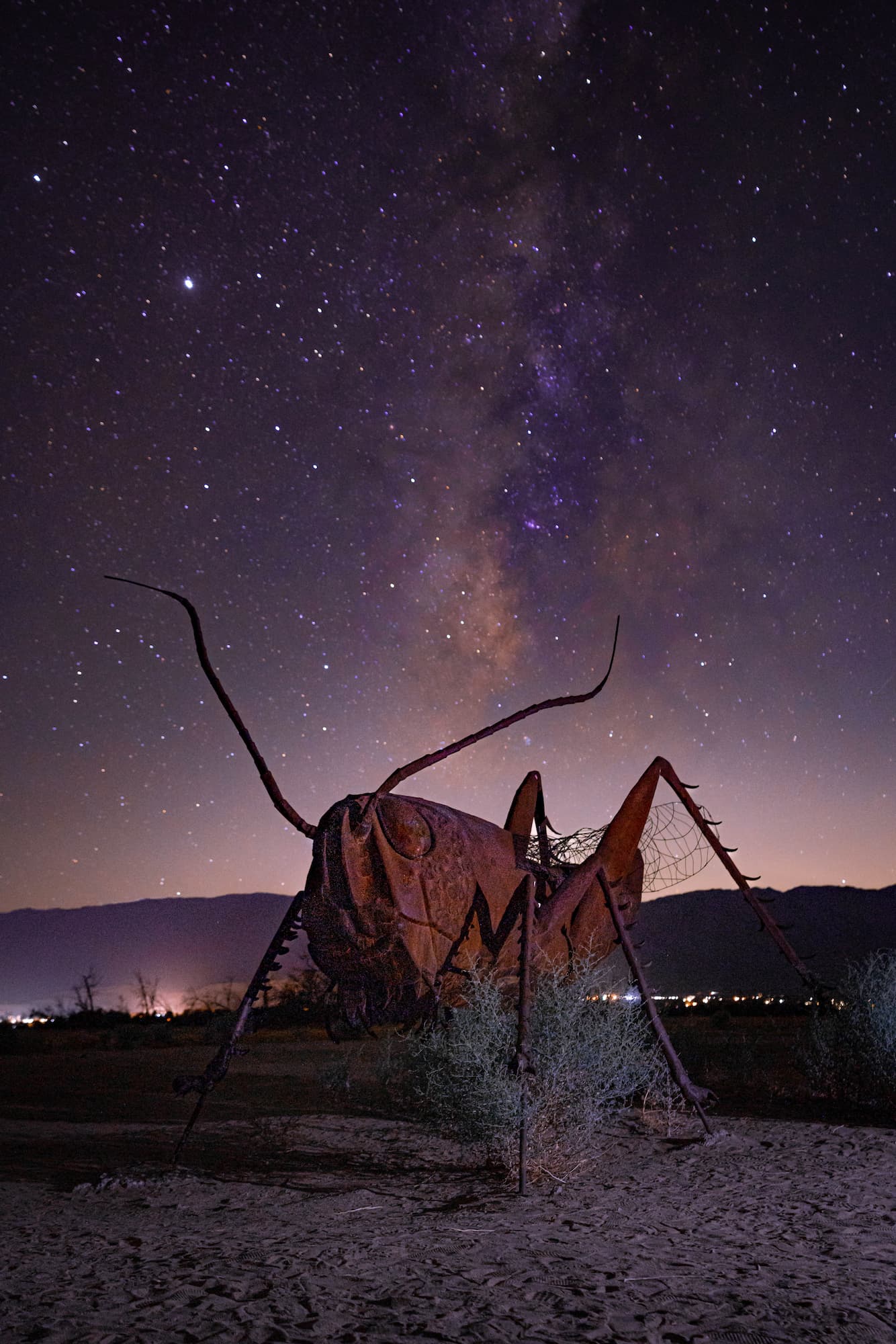 Grasshopper sculture under starry sky